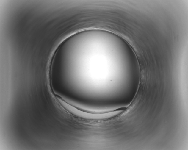 X0000088841530200706211824