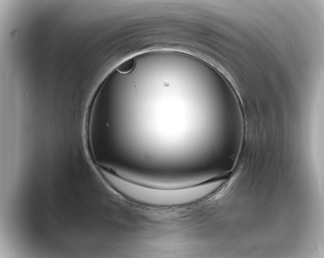 X0000088841533200706211824