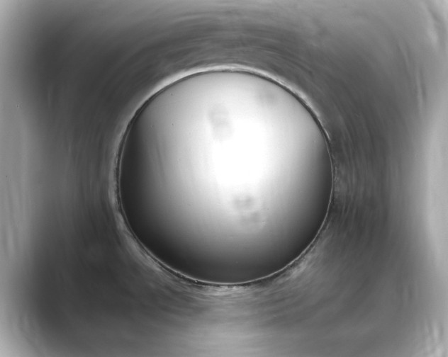 X0000088841534200706211824