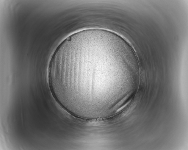 X0000088841535200706211824