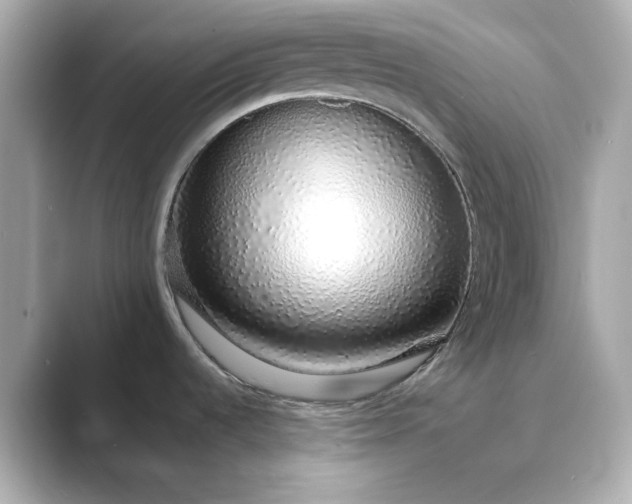 X0000088841536200706211824