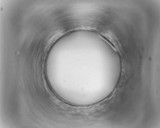 X0000088840001200706281833