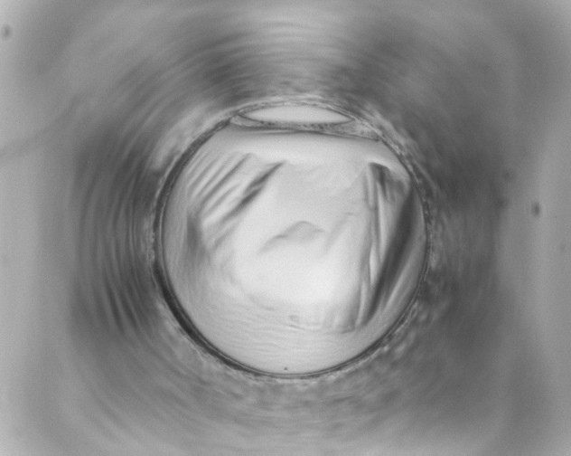 X0000088840002200706281833