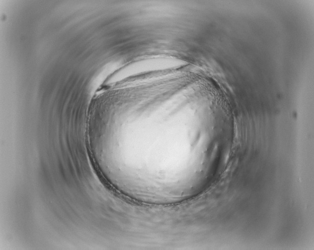 X0000088840003200706281833