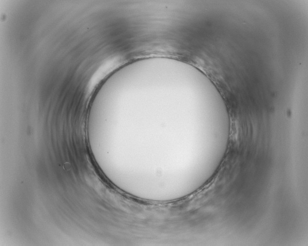 X0000088840004200706281833