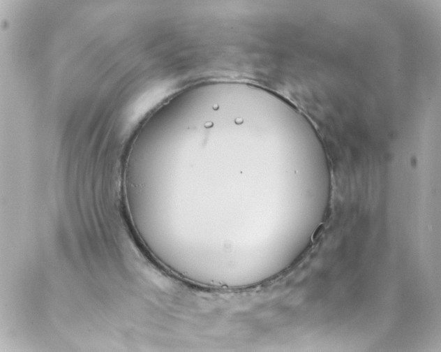 X0000088840005200706281833