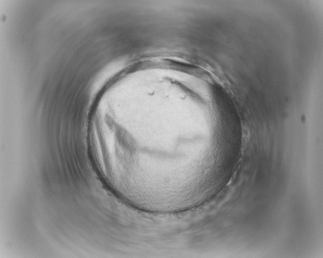 X0000088840006200706281833