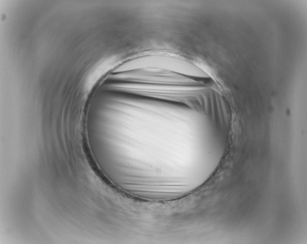 X0000088840007200706281833