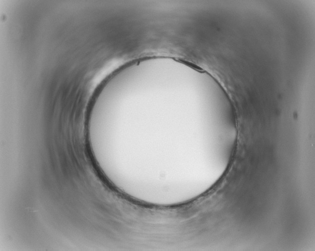 X0000088840008200706281833