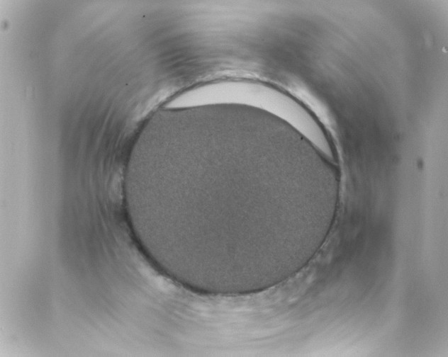 X0000088840009200706281833