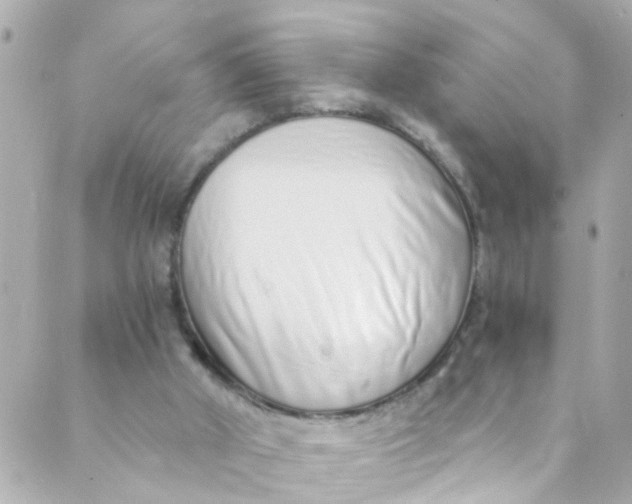 X0000088840010200706281833