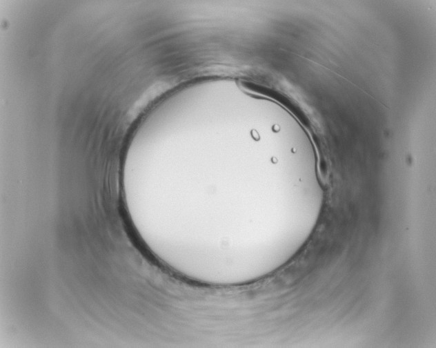 X0000088840011200706281833