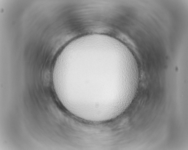 X0000088840012200706281833