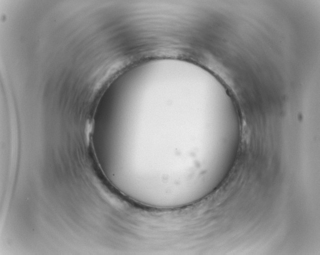 X0000088840013200706281833