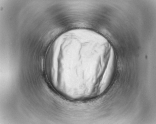 X0000088840014200706281833