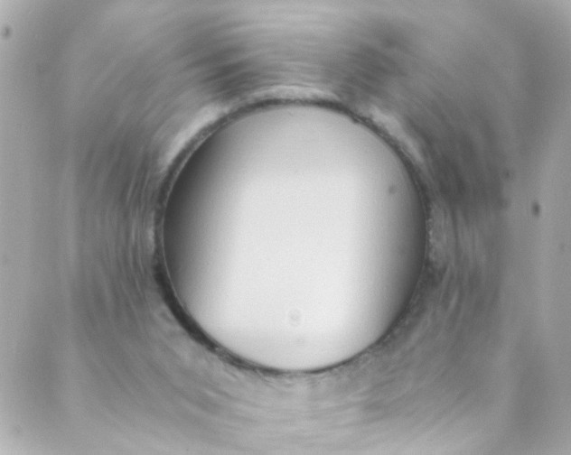 X0000088840015200706281833