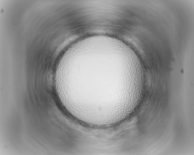 X0000088840016200706281833