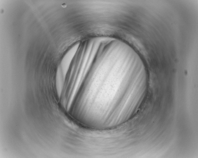 X0000088840017200706281833