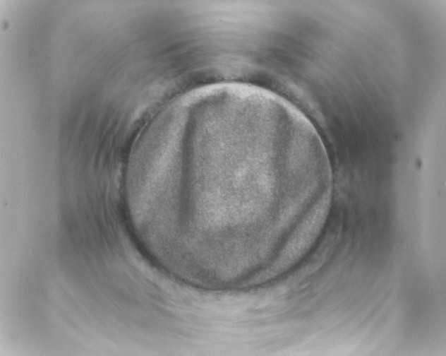 X0000088840018200706281833