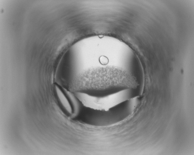 X0000088840019200706281833