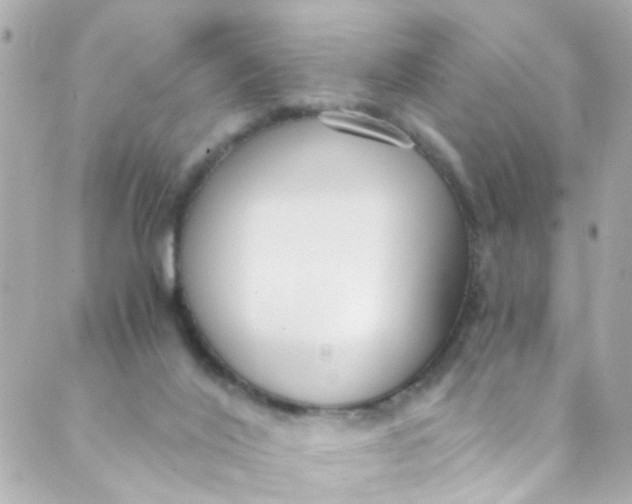 X0000088840020200706281833