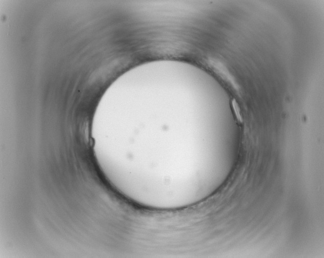 X0000088840021200706281833