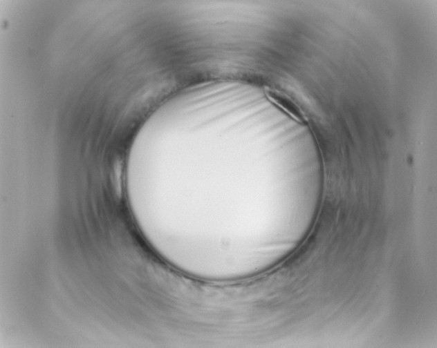 X0000088840022200706281833