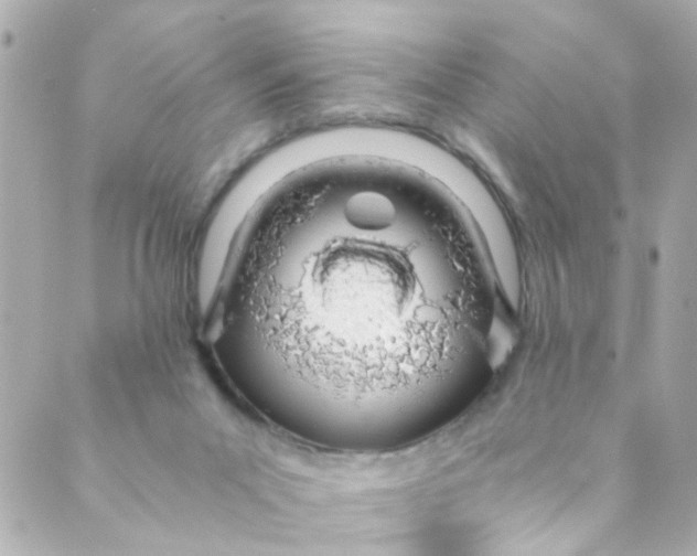 X0000088840023200706281833