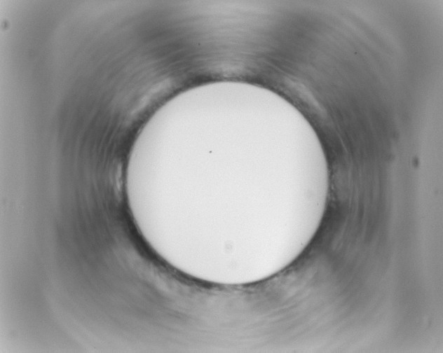 X0000088840024200706281833