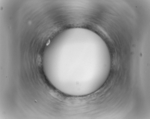 X0000088840025200706281833