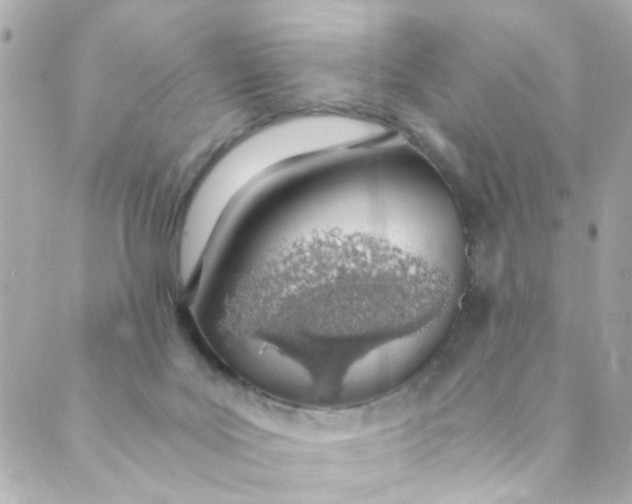 X0000088840027200706281833