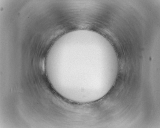 X0000088840028200706281833