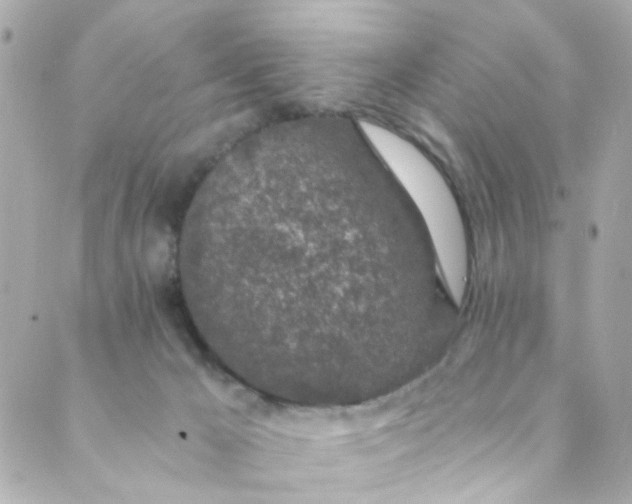 X0000088840029200706281833