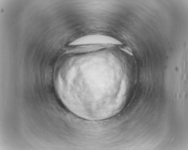 X0000088840030200706281832