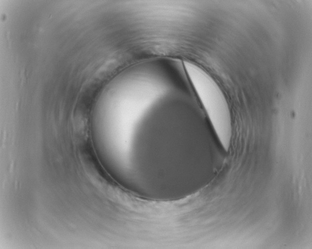 X0000088840031200706281832