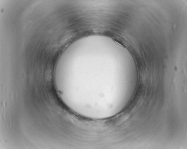 X0000088840032200706281832