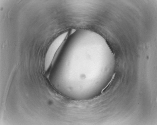 X0000088840033200706281832