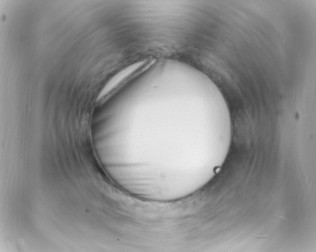 X0000088840034200706281832