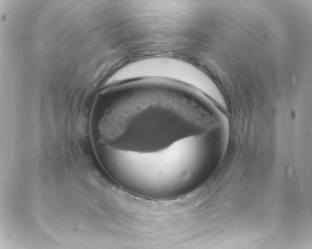 X0000088840035200706281832