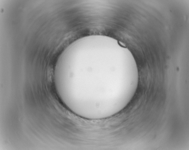 X0000088840038200706281832