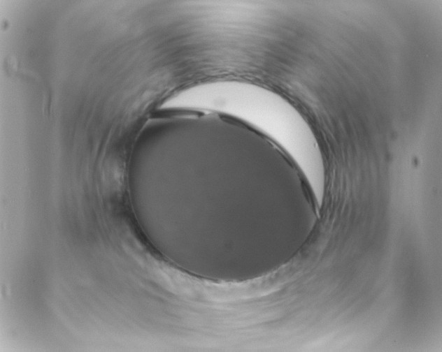 X0000088840039200706281832