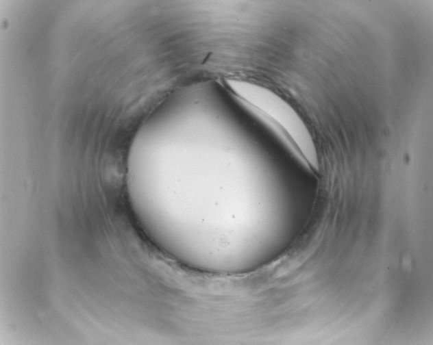 X0000088840040200706281832