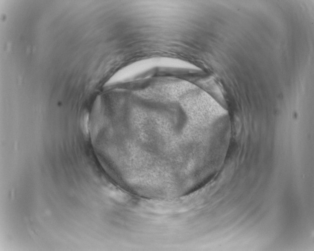 X0000088840041200706281832