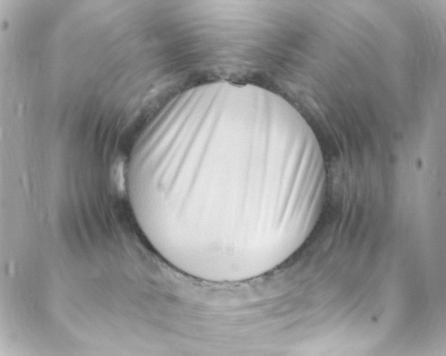 X0000088840042200706281832