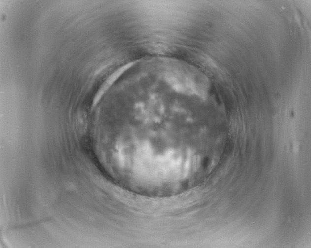 X0000088840043200706281832