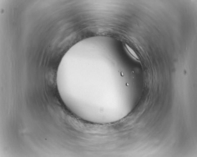 X0000088840044200706281832