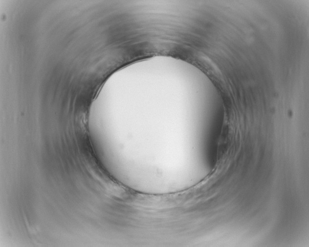 X0000088840045200706281832