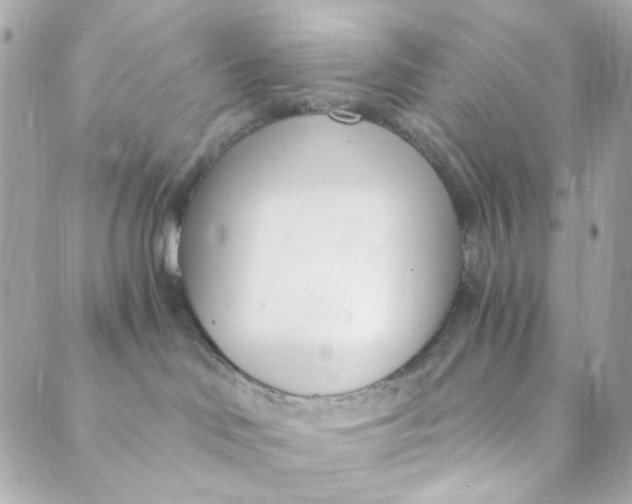 X0000088840046200706281832