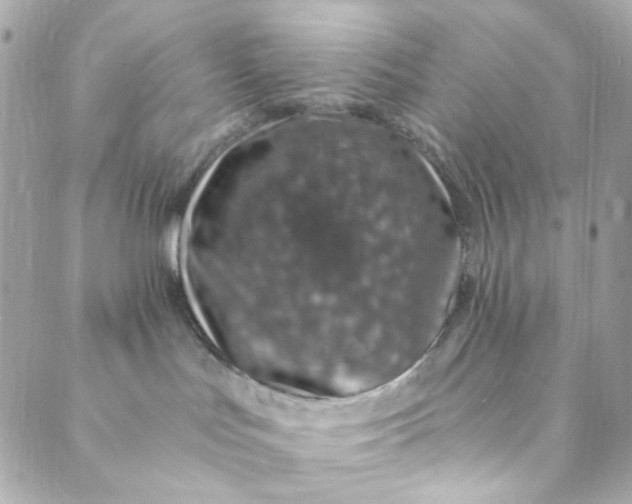 X0000088840047200706281832