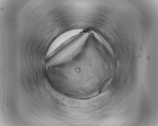 X0000088840048200706281832